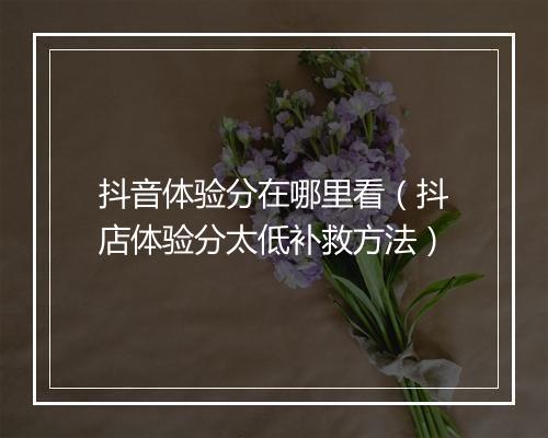 抖音体验分在哪里看（抖店体验分太低补救方法）