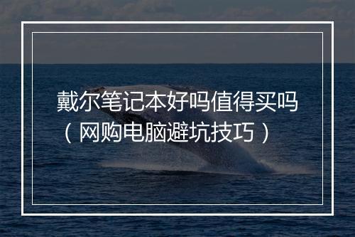 戴尔笔记本好吗值得买吗（网购电脑避坑技巧）