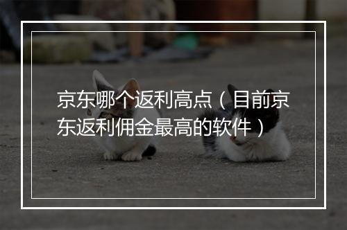 京东哪个返利高点（目前京东返利佣金最高的软件）