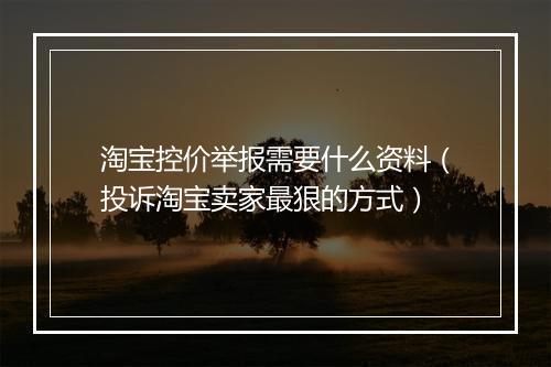 淘宝控价举报需要什么资料（投诉淘宝卖家最狠的方式）