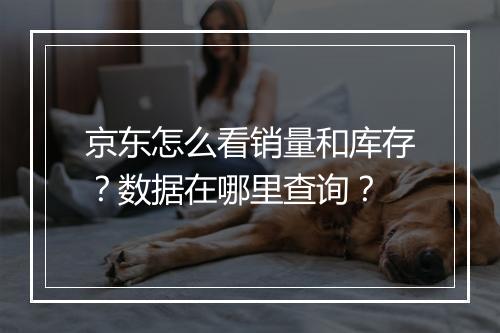 京东怎么看销量和库存？数据在哪里查询？