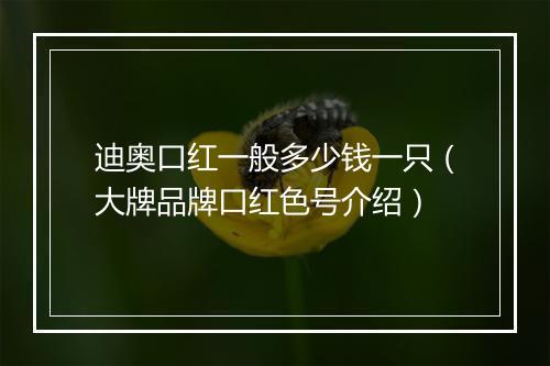 迪奥口红一般多少钱一只（大牌品牌口红色号介绍）