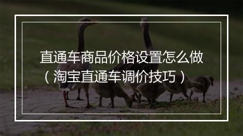 直通车商品价格设置怎么做（淘宝直通车调价技巧）