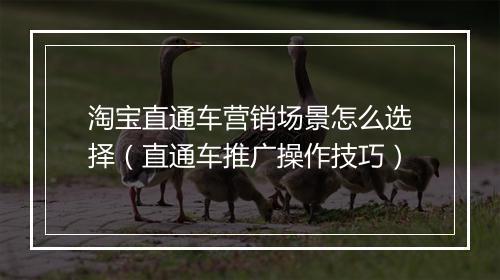 淘宝直通车营销场景怎么选择（直通车推广操作技巧）