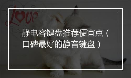 静电容键盘推荐便宜点（口碑最好的静音键盘）