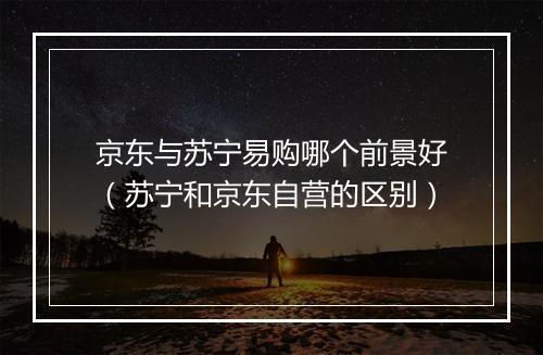 京东与苏宁易购哪个前景好（苏宁和京东自营的区别）