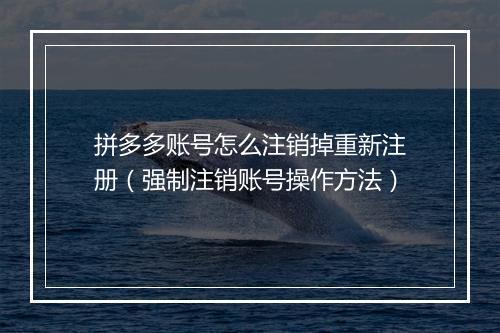 拼多多账号怎么注销掉重新注册（强制注销账号操作方法）