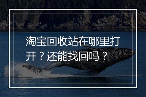 淘宝回收站在哪里打开？还能找回吗？