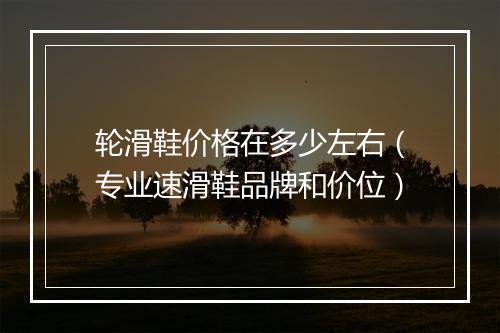 轮滑鞋价格在多少左右（专业速滑鞋品牌和价位）