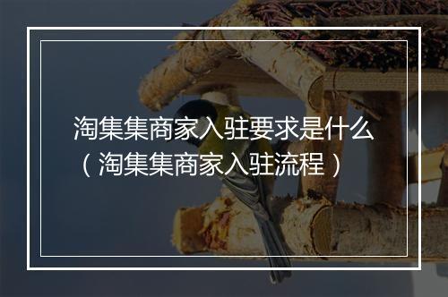 淘集集商家入驻要求是什么（淘集集商家入驻流程）