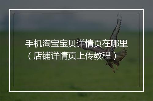 手机淘宝宝贝详情页在哪里（店铺详情页上传教程）