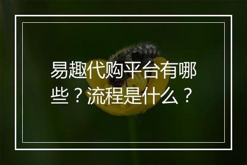 易趣代购平台有哪些？流程是什么？