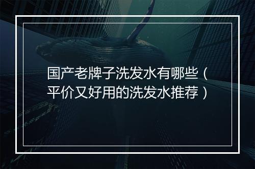国产老牌子洗发水有哪些（平价又好用的洗发水推荐）