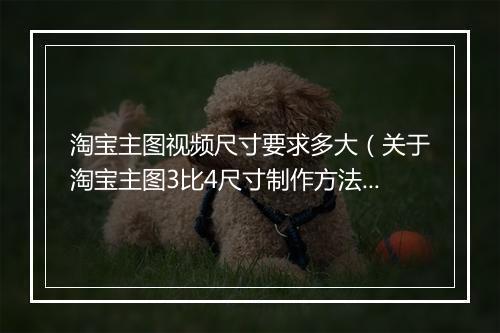 淘宝主图视频尺寸要求多大（关于淘宝主图3比4尺寸制作方法）