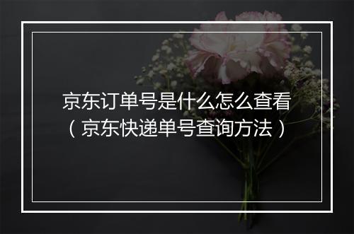 京东订单号是什么怎么查看（京东快递单号查询方法）