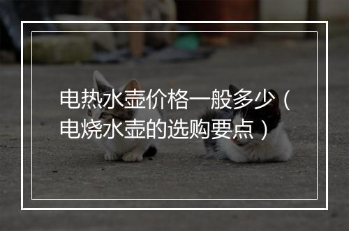 电热水壶价格一般多少（电烧水壶的选购要点）