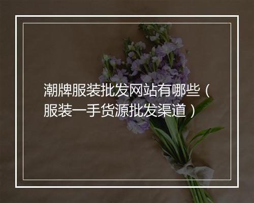 潮牌服装批发网站有哪些（服装一手货源批发渠道）