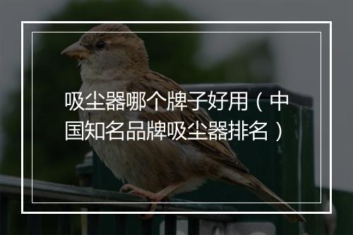 吸尘器哪个牌子好用（中国知名品牌吸尘器排名）
