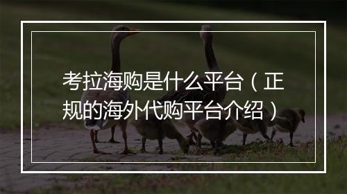 考拉海购是什么平台（正规的海外代购平台介绍）