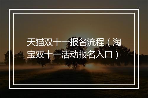 天猫双十一报名流程（淘宝双十一活动报名入口）