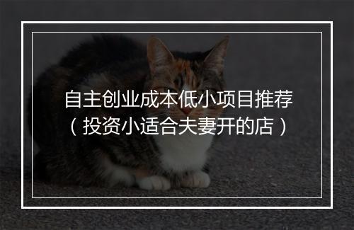 自主创业成本低小项目推荐（投资小适合夫妻开的店）