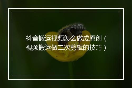 抖音搬运视频怎么做成原创（视频搬运做二次剪辑的技巧）