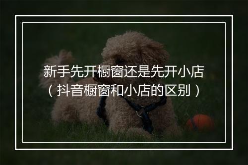 新手先开橱窗还是先开小店（抖音橱窗和小店的区别）