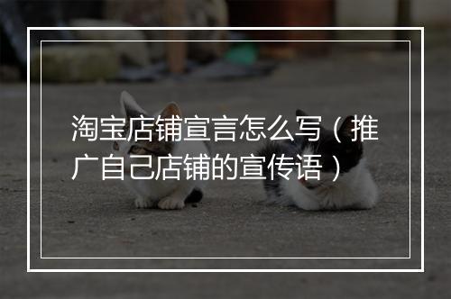 淘宝店铺宣言怎么写（推广自己店铺的宣传语）