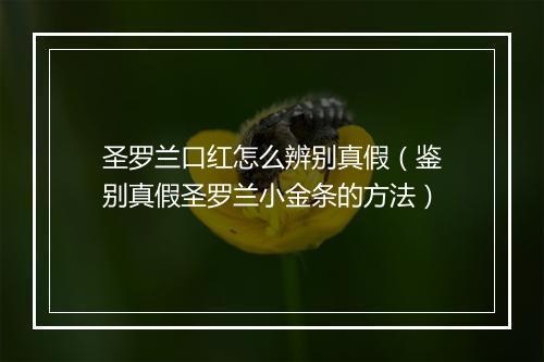 圣罗兰口红怎么辨别真假（鉴别真假圣罗兰小金条的方法）