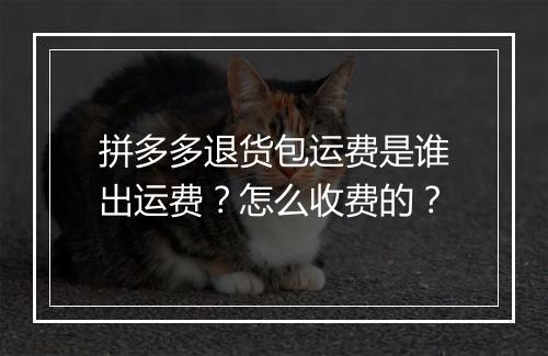 拼多多退货包运费是谁出运费？怎么收费的？