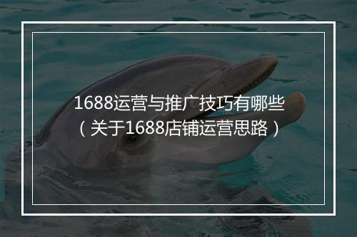 1688运营与推广技巧有哪些（关于1688店铺运营思路）