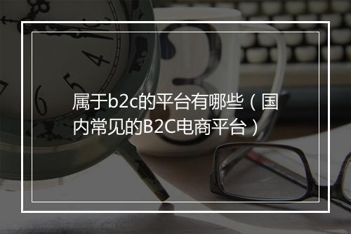 属于b2c的平台有哪些（国内常见的B2C电商平台）