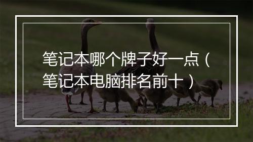 笔记本哪个牌子好一点（笔记本电脑排名前十）