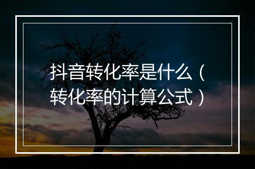 抖音转化率是什么（转化率的计算公式）