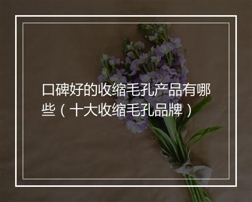 口碑好的收缩毛孔产品有哪些（十大收缩毛孔品牌）