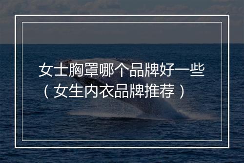 女士胸罩哪个品牌好一些（女生内衣品牌推荐）