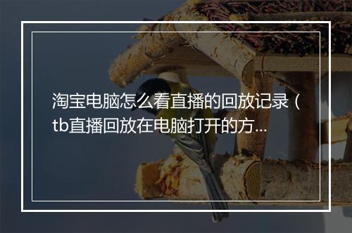 淘宝电脑怎么看直播的回放记录（tb直播回放在电脑打开的方法）