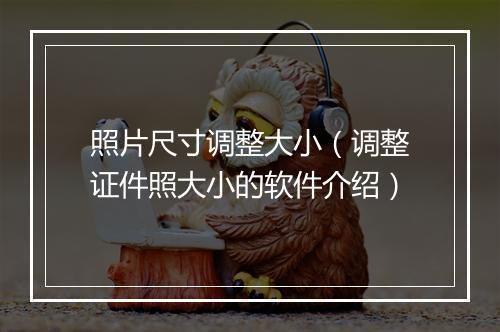 照片尺寸调整大小（调整证件照大小的软件介绍）