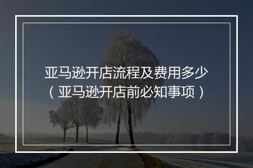 亚马逊开店流程及费用多少（亚马逊开店前必知事项）
