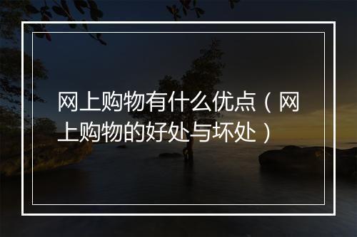 网上购物有什么优点（网上购物的好处与坏处）