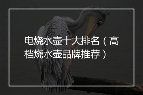 电烧水壶十大排名（高档烧水壶品牌推荐）