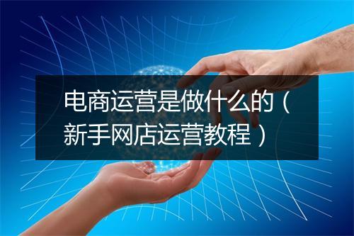电商运营是做什么的（新手网店运营教程）