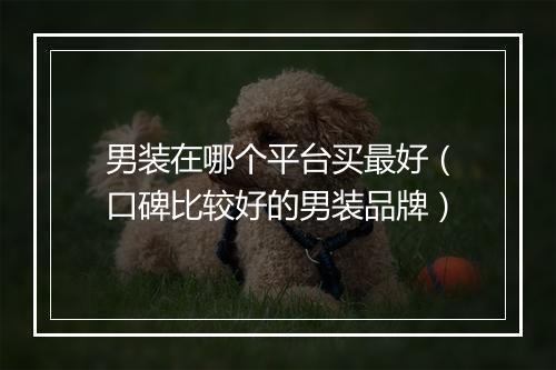 男装在哪个平台买最好（口碑比较好的男装品牌）