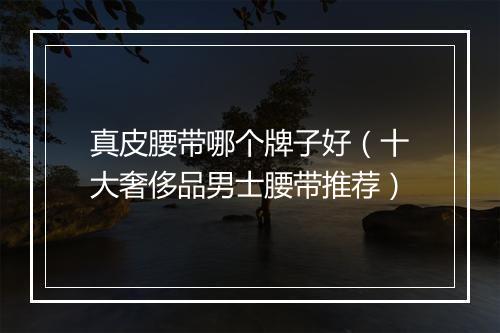 真皮腰带哪个牌子好（十大奢侈品男士腰带推荐）