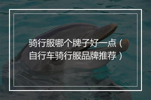 骑行服哪个牌子好一点（自行车骑行服品牌推荐）