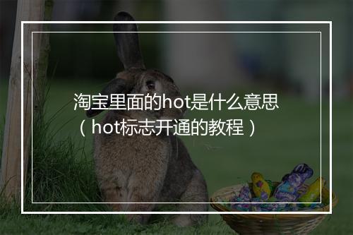 淘宝里面的hot是什么意思（hot标志开通的教程）