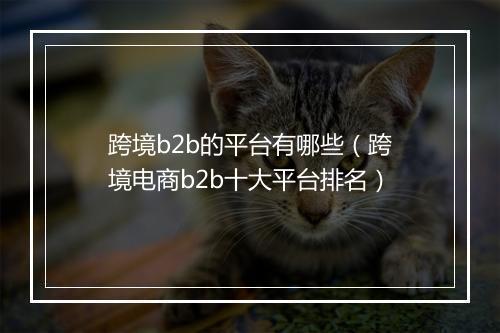 跨境b2b的平台有哪些（跨境电商b2b十大平台排名）