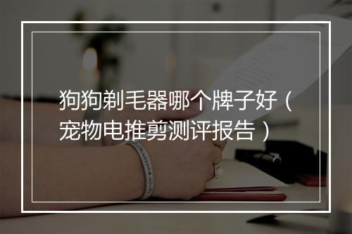 狗狗剃毛器哪个牌子好（宠物电推剪测评报告）