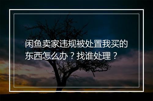 闲鱼卖家违规被处置我买的东西怎么办？找谁处理？