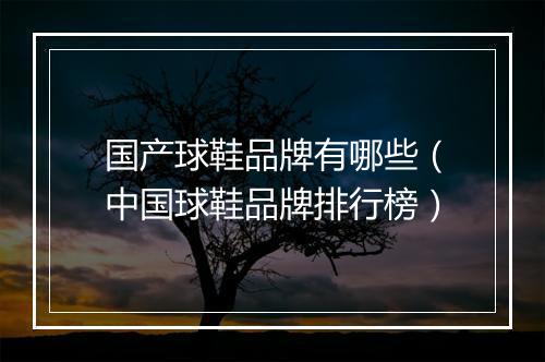 国产球鞋品牌有哪些（中国球鞋品牌排行榜）